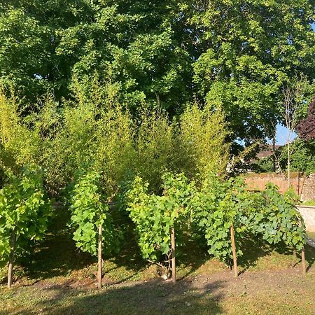 Pierres Et Jardins Bed & Breakfast Санлис Екстериор снимка