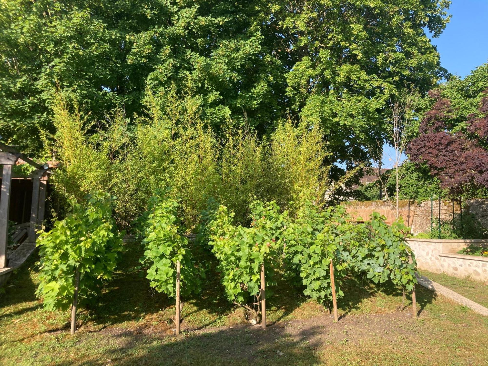 Pierres Et Jardins Bed & Breakfast Санлис Екстериор снимка