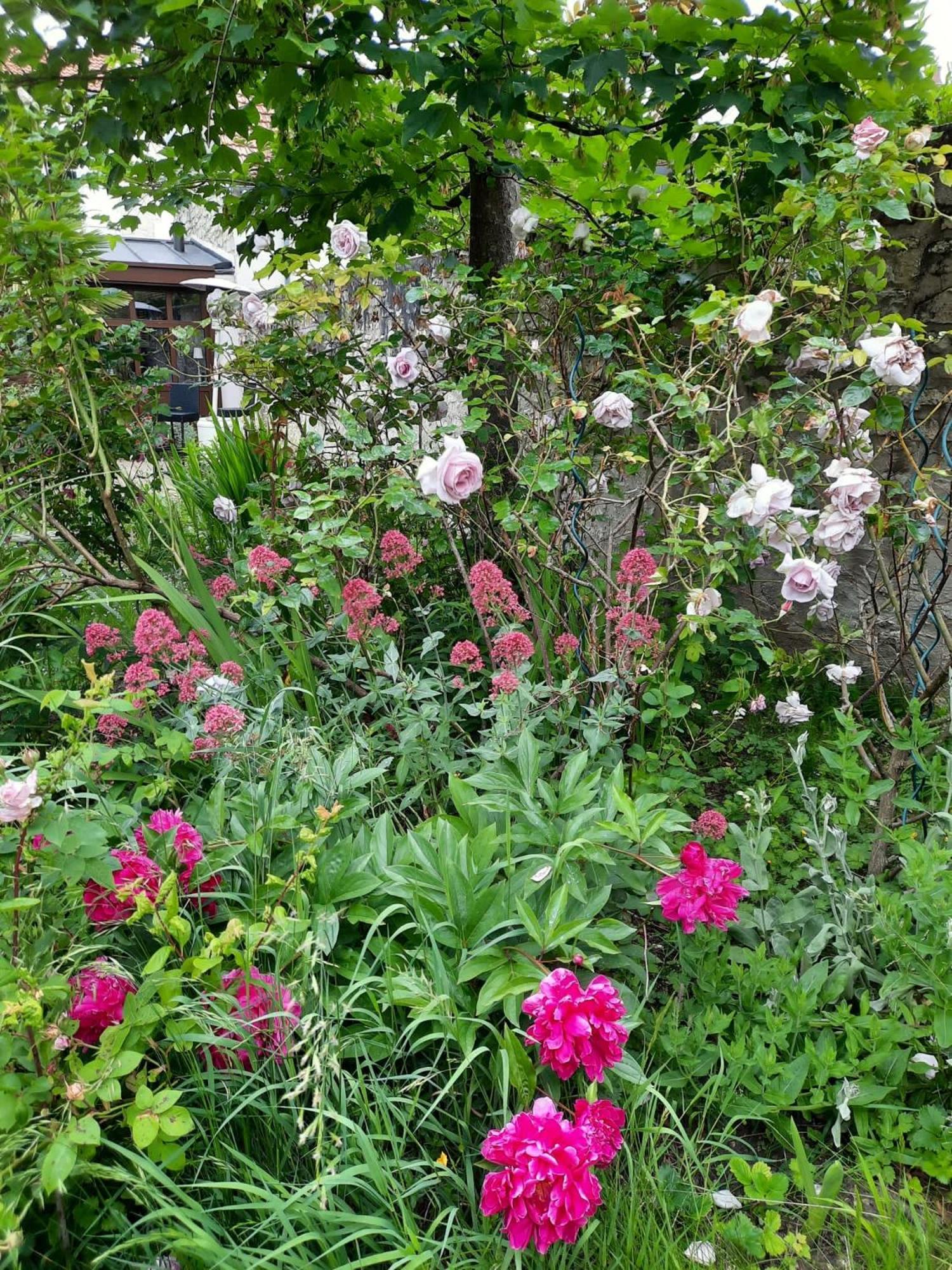 Pierres Et Jardins Bed & Breakfast Санлис Екстериор снимка